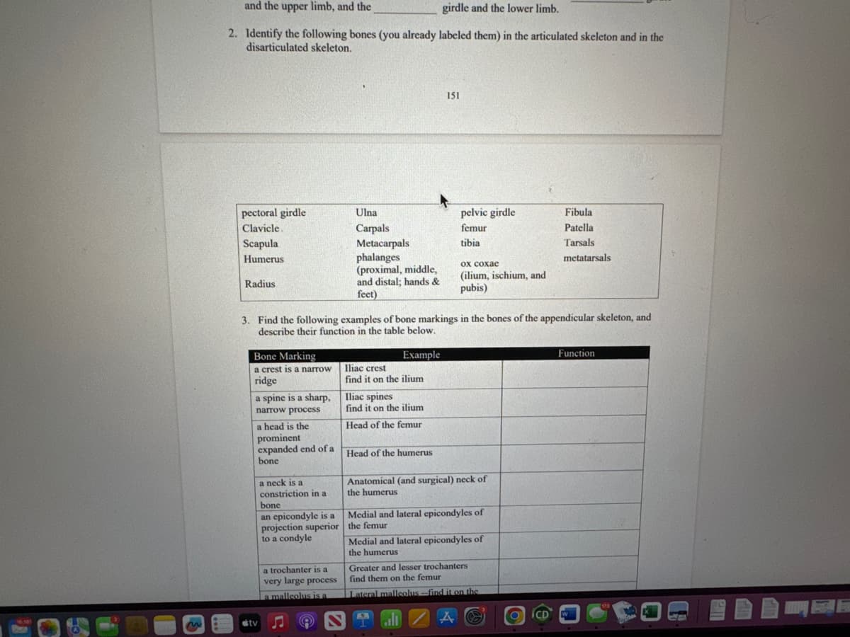 and the upper limb, and the
girdle and the lower limb.
2. Identify the following bones (you already labeled them) in the articulated skeleton and in the
disarticulated skeleton.
3
pectoral girdle
Clavicle.
Scapula
Humerus
Radius
151
Ulna
Carpals
Metacarpals
pelvic girdle
femur
Fibula
Patella
phalanges
tibia
ox coxae
Tarsals
metatarsals
(proximal, middle,
and distal; hands &
(ilium, ischium, and
pubis)
feet)
3. Find the following examples of bone markings in the bones of the appendicular skeleton, and
describe their function in the table below.
Bone Marking
Example
a crest is a narrow
ridge
a spine is a sharp,
narrow process
a head is the
prominent
expanded end of a
bone
a neck is a
constriction in a
bone
an epicondyle is a
projection superior
to a condyle
a trochanter is a
very large process
a malleolus is a
Iliac crest
find it on the ilium
Iliac spines
find it on the ilium
Head of the femur
Head of the humerus
Anatomical (and surgical) neck of
the humerus
Medial and lateral epicondyles of
the femur
Medial and lateral epicondyles of
the humerus
Greater and lesser trochanters
find them on the femur
Lateral malleolus-find it on the
A
tv
Function
