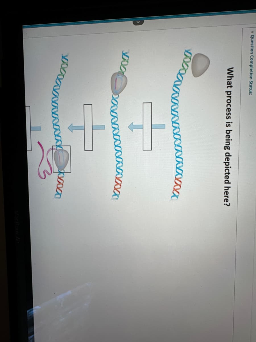 Question Completion Status:
What process is being depicted here?
3000
MacBook Air