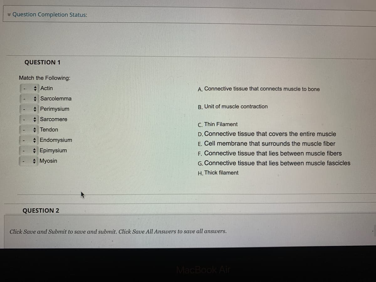 Question Completion Status:
QUESTION 1
Match the Following:
Actin
Sarcolemma
+ Perimysium
Sarcomere
Tendon
✰ Endomysium
✰ Epimysium
Myosin
A. Connective tissue that connects muscle to bone
B. Unit of muscle contraction
C. Thin Filament
D. Connective tissue that covers the entire muscle
E. Cell membrane that surrounds the muscle fiber
F. Connective tissue that lies between muscle fibers
G. Connective tissue that lies between muscle fascicles
H. Thick filament
QUESTION 2
Click Save and Submit to save and submit. Click Save All Answers to save all answers.
MacBook Air