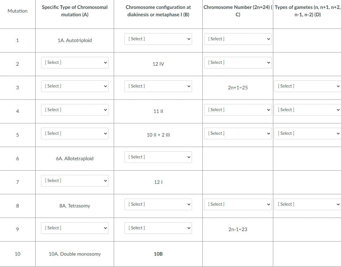 Mutation
1
2
3
4
5
6
7
8
9
10
Specific Type of Chromosomal
mutation (A)
1A. Autotriploid
[Select]
[Select]
[Select]
[Select]
6A. Allotetraploid
8A. Tetrasomy
[Select]
10A. Double monosomy
[Select]
Chromosome configuration at
diakinesis or metaphase I (B)
[Select]
[Select]
[Select]
[Select]
[Select]
12 IV
11 II
10 II +2 III
121
10B
Chromosome Number (2n=24) (Types of gametes (n, n+1, n+2,
C)
n-1, n-2) (D)
[Select]
[Select]
[Select]
[Select]
[Select]
2n+1=25
2n-1-23
V
V
[Select]
[ Select]
[Select]
[Select]
V