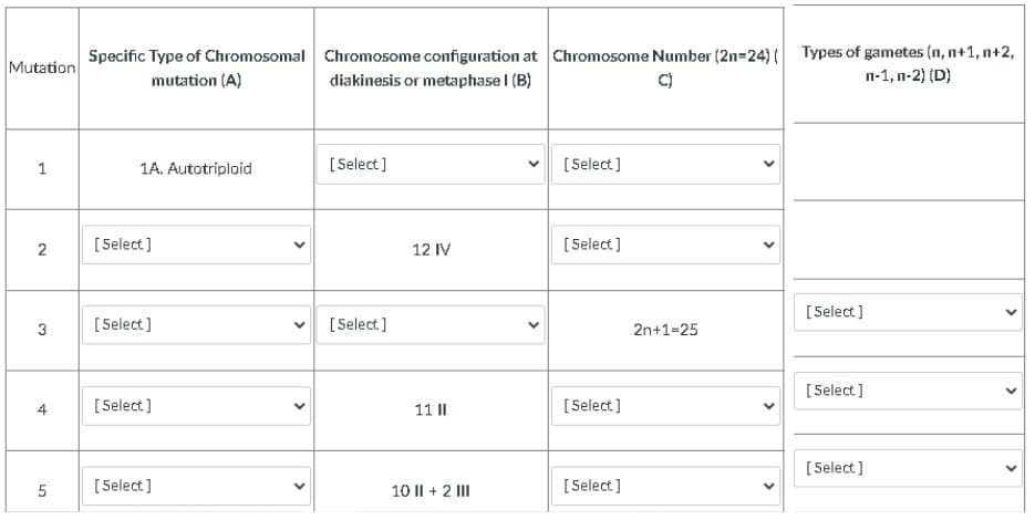 Mutation
1
2
3
4
5
Specific Type of Chromosomal
mutation (A)
1A. Autotriploid
[Select]
[Select]
[Select]
[Select]
V
<
<
Chromosome configuration at Chromosome Number (2n=24) Types of gametes (n, n+1, n+2,
diakinesis or metaphase I (B)
n-1, n-2) (D)
C)
[Select]
[Select]
[Select]
[Select]
12 IV
11 II
10 II + 2 III
V
[Select]
[Select]
2n+1-25
>
>
<
[Select]
[Select]
[Select]