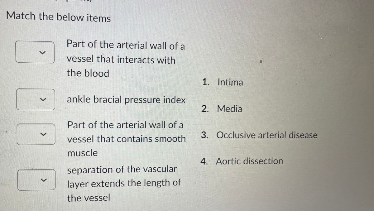 Match the below items
>
Part of the arterial wall of a
vessel that interacts with
the blood
ankle bracial pressure index
Part of the arterial wall of a
vessel that contains smooth
muscle
separation of the vascular
layer extends the length of
the vessel
1. Intima
2. Media
3. Occlusive arterial disease
4. Aortic dissection