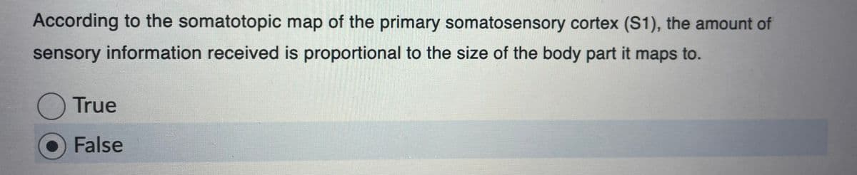 According to the somatotopic map of the primary somatosensory cortex (S1), the amount of
sensory information received is proportional to the size of the body part it maps to.
True
O False