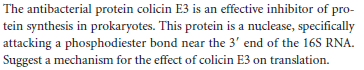 The antibacterial protein colicin E3 is an effective inhibitor of pro-
tein synthesis in prokaryotes. This protein is a nuclease, specifically
attacking a phosphodiester bond near the 3' end of the 16S RNA.
Suggest a mechanism for the effect of colicin E3 on translation.
