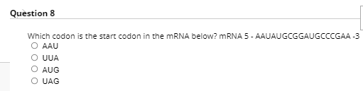 Quèstion 8
Which codon is the start codon in the MRNA below? MRNA 5 - AAUAUGCGGAUGCCCGAA -3
O AAU
O UA
O AUG
O UAG
