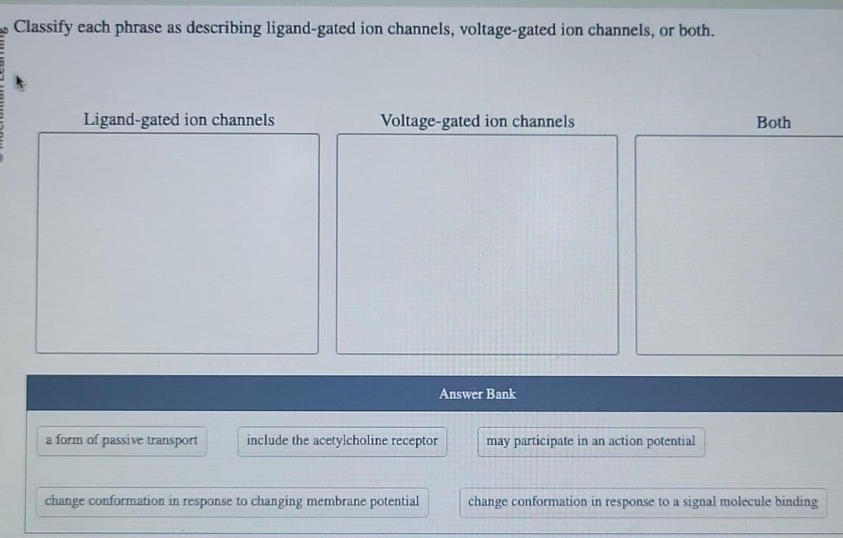 Classify each phrase as describing ligand-gated ion channels, voltage-gated ion channels, or both.
Ligand-gated ion channels
a form of passive transport
Voltage-gated ion channels
include the acetylcholine receptor
change conformation in response to changing membrane potential
Answer Bank
may participate in an action potential
Both
change conformation in response to a signal molecule binding