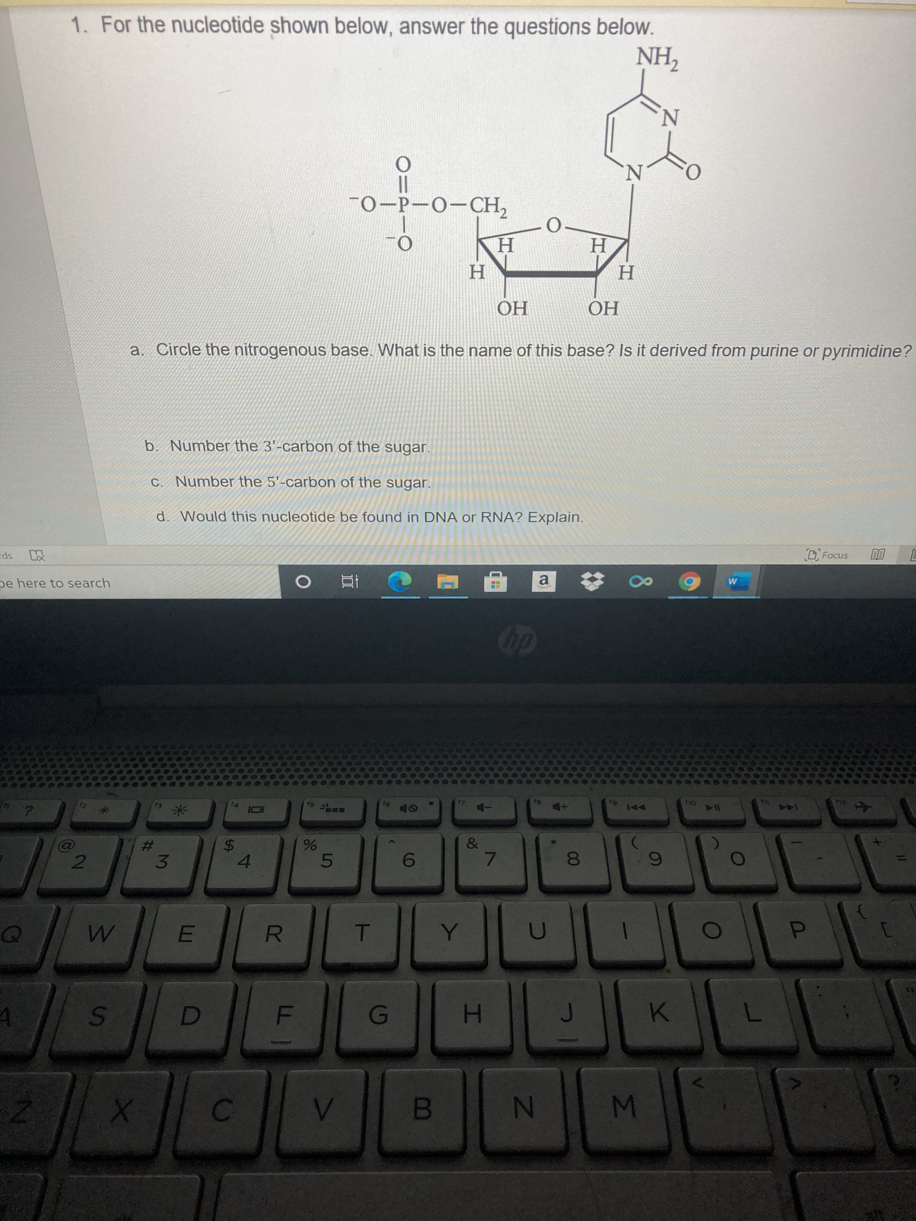 1. For the nucleotide shown below, answer the questions below.
NH,
N.
N.
-0-P-O-CH,
0-
H
H
H
ОН
OH
