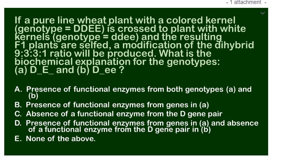 - 1 attachment
If a pure line wheat plant with a colored kernel
(geniotype = DDEE) is crossed to plant with white
kernels (genotype = ddee) and the resulting.
F1 plants are selfed, a modification of the dihybrid
9:3:3:1 ratio will be produced. What is the
biochemical explanation for the genotypes:
(a) D_E_ and (b) D_ee ?
A. Presence of functional enzymes from both genotypes (a) and
(b)
B. Presence of functional enzymes from genes in (a)
C. Absence of a functional enzyme from the D gene pair
D. Presence of functional enzymes from genes in (a) and absence
of a functional enzyme from the D gene pair in (b)
E. None of the above.
