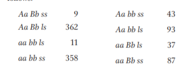 Aa Bb ss
Aa bb ss
43
Aa Bb ls
362
Aa bb ls
93
aa bb ls
11
aа Bb ls
37
aa bb ss
358
aа Bb ss
87
