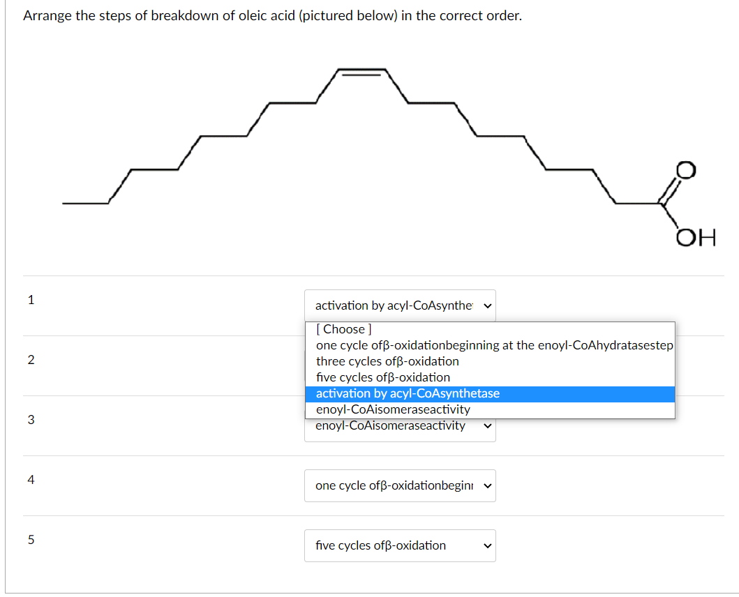 Arrange the steps of breakdown of oleic acid (pictured below) in the correct order.
1
2
3
4
5
activation by acyl-CoAsynthe ✓
[Choose ]
one cycle ofß-oxidationbeginning at the enoyl-CoAhydratasestep
three cycles ofẞ-oxidation
five cycles ofß-oxidation
activation by acyl-CoAsynthetase
enoyl-CoAisomeraseactivity
enoyl-CoAisomeraseactivity V
one cycle ofß-oxidationbegini V
five cycles ofß-oxidation
OH