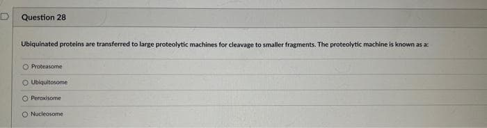 Question 28
Ubiquinated proteins are transferred to large proteolytic machines for cleavage to smaller fragments. The proteolytic machine is known as a:
O Proteasome
O Ubiquitosome
Peroxisome
Nucleosome