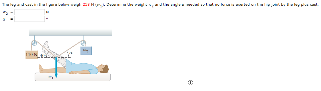 The leg and cast in the figure below weigh 258 N (w, ). Determine the weight w, and the angle a needed so that no force is exerted on the hip joint by the leg plus cast.
w, =
N
a
110 N
