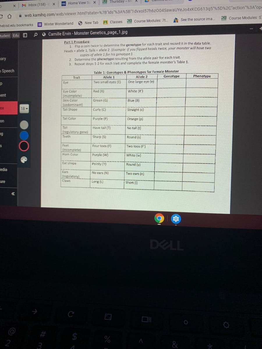 HEB Thursday - M
M Inbox (158)
HAC Home View Su X
A web.kamihq.com/web/viewer.html?state=%7B'ids"%3A%5B 1dvxol57h6z004SawaUYeJo4xKCG613q5 %5D%2C'action"%3A'ope
HE Course Modules: S
A See the source ima.
6 New Tab
A Classes HEB Course Modules: 7t.
Winter Wonderland
hebisd.edu bookmarks
tudent Edu O
O Camille Ervin - Monster Genetics_page_1.jpg
Part 1 Procedure:
1. Flip a coin twice to determine the genotype for each trait and record it in the data table.
Heads = allele 1, Tails = allele 2 (Example: if you fipped heads twice, your monster will hove two
copies of ollele 1 for his genotype.)
2. Determine the phenotype resulting from the allele pair for each trait.
3. Repeat steps 1-2 for each trait and complete the female monster's Table 1.
nary
O Speech
Table 1: Genotypes & Phenotypes for Female Monster
Allele 1
Phenotype
Trait
Allele 2
Genotype
Eye
Two small eyes (E)
One large eye (e)
Eye Color
(incomplete)
Red (R)
White (R')
ment
Skin Color
Green (G)
Blue (B)
(codominant)
Tail Shape
18
Curly (C)
Straight (c)
Tail Color
Purple (P)
Orange (p)
on
Tail
{regulatory gene)
Teeth
Have tail (T)
No tail (t)
ng
Sharp (S)
Round (s)
Four toes (F)
Feet
(incomplete)
Horn Color
Two tocs (F')
Purple (W)
White (w)
Ear shape
Pointy (Y)
Round (y)
Tedia
Ears
No ears (N)
Two ears (n)
(regulatory)
Claws
ure
Long (L)
Short (I)
DELL
@
#
$
2
3
&
