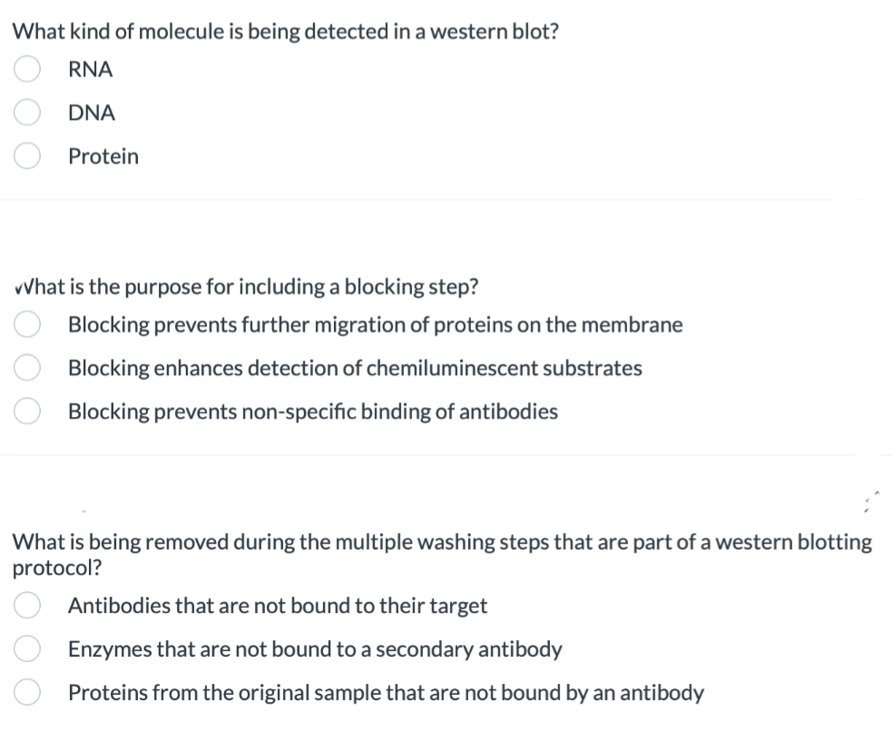 What kind of molecule is being detected in a western blot?
RNA
DNA
Protein
000
What is the purpose for including a blocking step?
Blocking prevents further migration of proteins on the membrane
Blocking enhances detection of chemiluminescent substrates
Blocking prevents non-specific binding of antibodies
ooo
What is being removed during the multiple washing steps that are part of a western blotting
protocol?
000
Antibodies
that are not bound to their target
Enzymes that are not bound to a secondary antibody
Proteins from the original sample that are not bound by an antibody