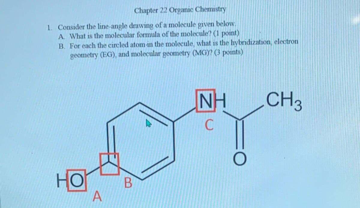 Chapter 22 Organic Chemistry
1. Consider the line-angle drawing of a molecule given below.
A. What is the molecular formula of the molecule? (1 point)
B. For each the circled atom-in the molecule, what is the hybridization, electron
geometry (EG), and molecular geometry (MG)? (3 points)
HO
A
B
NH
CH3
C