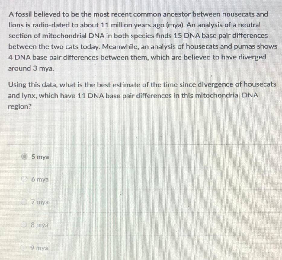 A fossil believed to be the most recent common ancestor between housecats and
lions is radio-dated to about 11 million years ago (mya). An analysis of a neutral
section of mitochondrial DNA in both species finds 15 DNA base pair differences
between the two cats today. Meanwhile, an analysis of housecats and pumas shows
4 DNA base pair differences between them, which are believed to have diverged
around 3 mya.
Using this data, what is the best estimate of the time since divergence of housecats
and lynx, which have 11 DNA base pair differences in this mitochondrial DNA
region?
5 mya
O6 mya
O 7 mya
O8 mya
9 mya
