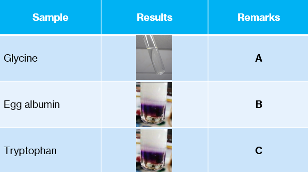 Sample
Results
Remarks
Glycine
A
Egg albumin
B
Tryptophan
