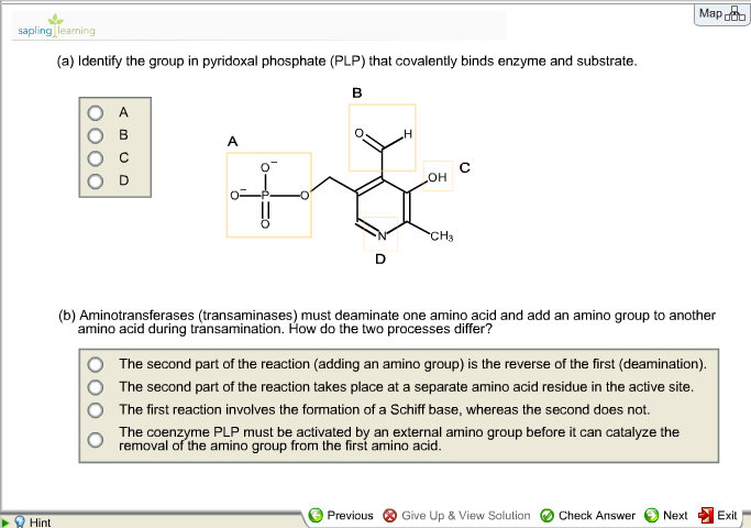 sapling learning
(a) Identify the group in pyridoxal phosphate (PLP) that covalently binds enzyme and substrate.
Hint
A
B
_H
OH
Previous
CH3
(b) Aminotransferases (transaminases) must deaminate one amino acid and add an amino group to another
amino acid during transamination. How do the two processes differ?
Map
The second part of the reaction (adding an amino group) is the reverse of the first (deamination).
The second part of the reaction takes place at a separate amino acid residue in the active site.
The first reaction involves the formation of a Schiff base, whereas the second does not.
The coenzyme PLP must be activated by an external amino group before it can catalyze the
removal of the amino group from the first amino acid.
Give Up & View Solution Check Answer Next
Exit