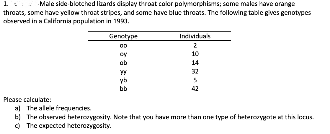 1.: Male side-blotched lizards display throat color polymorphisms; some males have orange
throats, some have yellow throat stripes, and some have blue throats. The following table gives genotypes
observed in a California population in 1993.
Genotype
Individuals
2
10
oy
ob
14
yy
32
yb
bb
42
Please calculate:
a) The allele frequencies.
b) The observed heterozygosity. Note that you have more than one type of heterozygote at this locus.
c) The expected heterozygosity.
