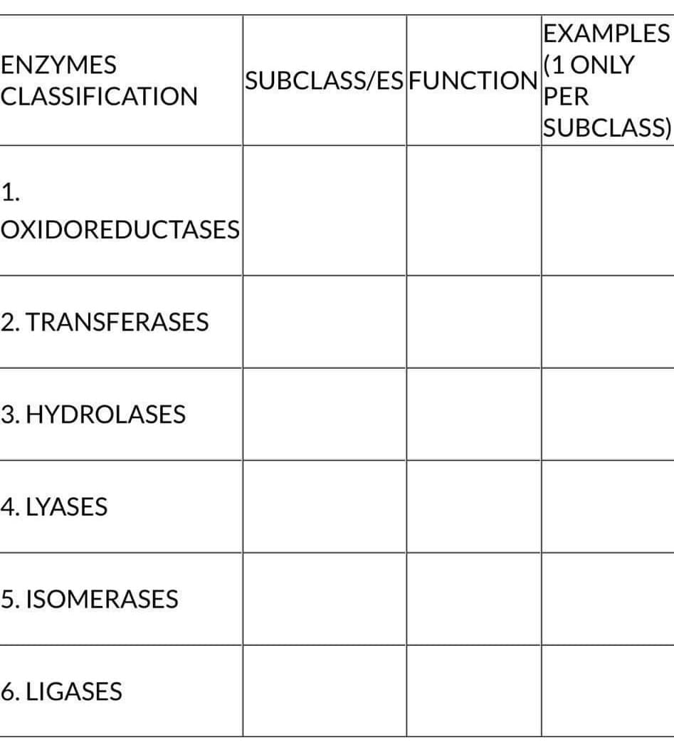 ENZYMES
CLASSIFICATION
1.
OXIDOREDUCTASES
2. TRANSFERASES
3. HYDROLASES
4. LYASES
5. ISOMERASES
6. LIGASES
SUBCLASS/ES FUNCTION
EXAMPLES
(1 ONLY
PER
SUBCLASS)