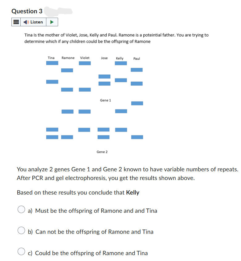 Question 3
Listen
Tina Is the mother of Violet, Jose, Kelly and Paul. Ramone is a potential father. You are trying to
determine which if any children could be the offspring of Ramone
Tina Ramone Violet
Jose
Kelly
Paul
==
Gene 1
Gene 2
You analyze 2 genes Gene 1 and Gene 2 known to have variable numbers of repeats.
After PCR and gel electrophoresis, you get the results shown above.
Based on these results you conclude that Kelly
a) Must be the offspring of Ramone and and Tina
b) Can not be the offspring of Ramone and Tina
c) Could be the offspring of Ramone and Tina