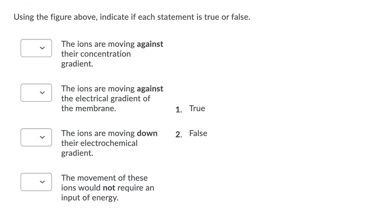Using the figure above, indicate if each statement is true or false.
The ions are moving against
their concentration
gradient.
The ions are moving against
the electrical gradient of
the membrane.
1. True
The ions are moving down
2. False
their electrochemical
gradient.
The movement of these
ions wo
not require an
input of energy.
