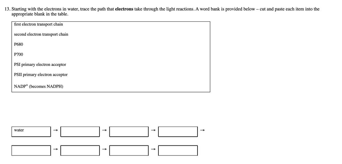13. Starting with the electrons in water, trace the path that electrons take through the light reactions. A word bank is provided below – cut and paste each item into the
appropriate blank in the table.
first electron transport chain
second electron transport chain
P680
P700
PSI primary electron acceptor
PSII primary electron acceptor
NADP+ (becomes NADPH)
water
>
