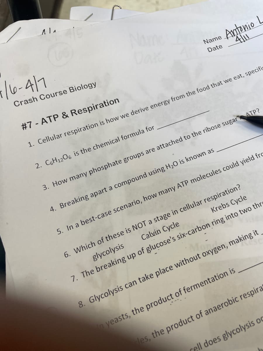 Ala
Name
Dak
/6-417
Antonio L
Crash Course Biology
Name
Date
#7 - ATP & Respiration
1. Cellular respiration is how we derive energy from the food that we eat, specifie
2. C6H1206 is the chemical formula for
3. How many phosphate groups are attached to the ribose sugar ATP?
4. Breaking apart a compound using H20 is known as
5. In a best-case scenario, how many ATP molecules could yield fro
6. Which of these is NOT a stage in cellular respiration?
Calvin Cycle
Krebs Cycle
glycolysis
7. The breaking up of glucose's six-carbon ring into two thre
8. Glycolysis can take place without oxygen, making it
n yeasts, the product of fermentation is
les, the product of anaerobic respirat
rell does glycolysis oc
