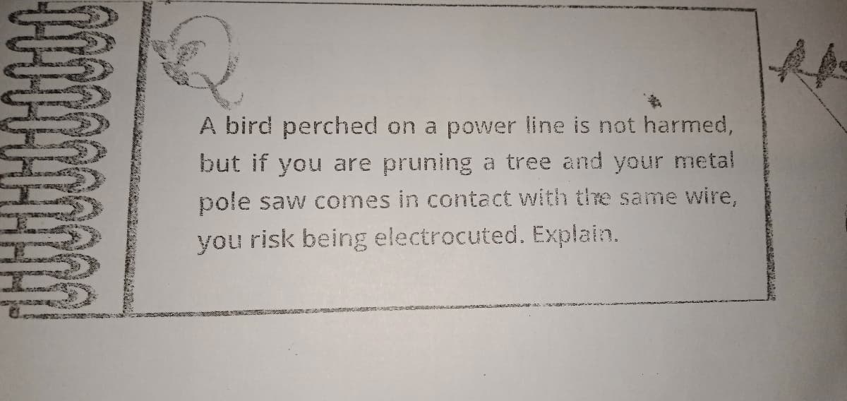 A bird perched on a power line is not harmed,
but if you are pruning a tree and your metal
pole saw comes in contact with the same wire,
you risk being electrocuted. Explain.
