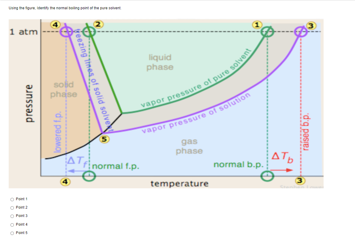 Using the figure, Identify the normal boiling point of the pure solvent.
1 atm
liquid
phase
sofd
phase
vapor pressure of solution
gas
phase
finormal f.p.
ATb
normal b.p.
temperature
O Point 1
Stenher
O Point 2
O Point 3
O Point 4
O Point 5
pressure
lowered f.p.
reezing Itnes of solid solve
raised b.p.
