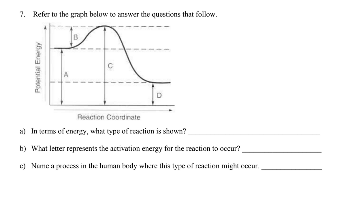 7. Refer to the graph below to answer the questions that follow.
Potential Energy
Reaction Coordinate
a) In terms of energy, what type of reaction is shown?
b) What letter represents the activation energy for the reaction to occur?
c) Name a process in the human body where this type of reaction might occur.