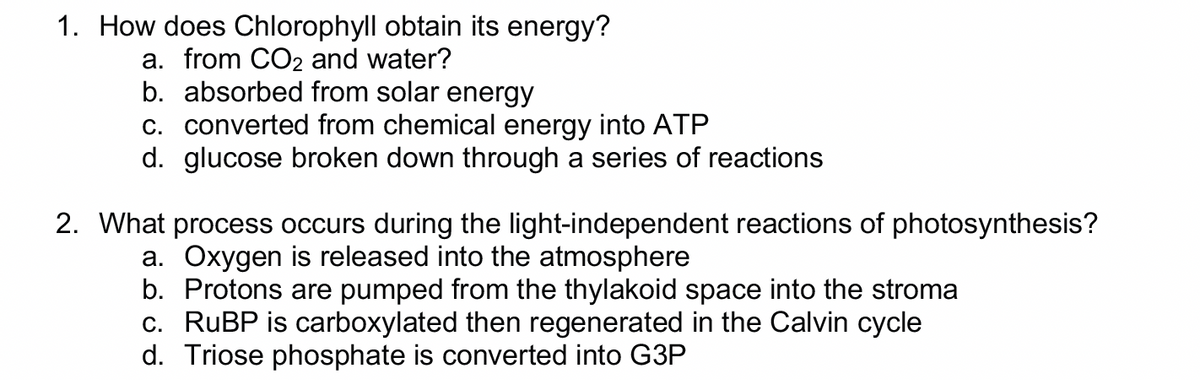 1. How does Chlorophyll obtain its energy?
a. from CO2 and water?
b. absorbed from solar energy
c. converted from chemical energy into ATP
d. glucose broken down through a series of reactions
2. What process occurs during the light-independent reactions of photosynthesis?
a. Oxygen is released into the atmosphere
b.
Protons are pumped from the thylakoid space into the stroma
c. RuBP is carboxylated then regenerated in the Calvin cycle
d. Triose phosphate is converted into G3P