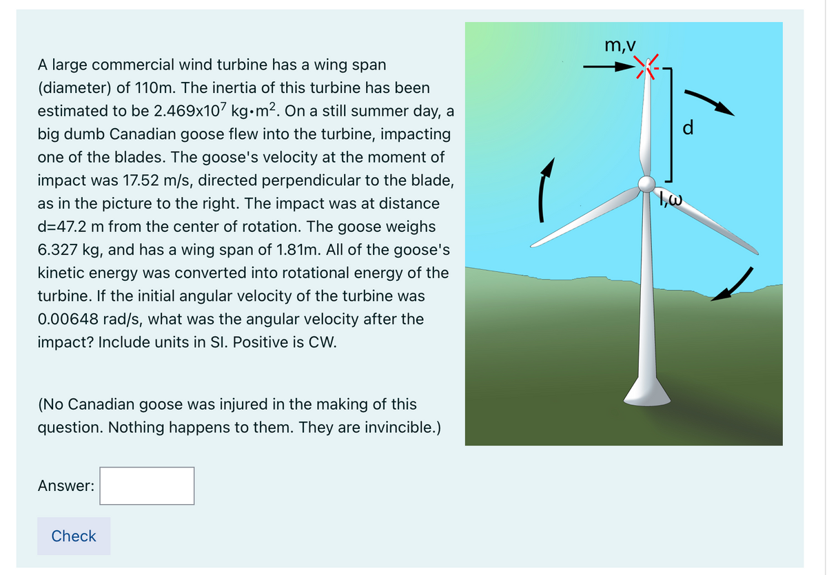 m,v
A large commercial wind turbine has a wing span
(diameter) of 110m. The inertia of this turbine has been
estimated to be 2.469x107 kg•m2. On a still summer day, a
big dumb Canadian goose flew into the turbine, impacting
one of the blades. The goose's velocity at the moment of
impact was 17.52 m/s, directed perpendicular to the blade,
as in the picture to the right. The impact was at distance
d=47.2 m from the center of rotation. The goose weighs
6.327 kg, and has a wing span of 1.81m. All of the goose's
kinetic energy was converted into rotational energy of the
turbine. If the initial angular velocity of the turbine was
0.00648 rad/s, what was the angular velocity after the
impact? Include units in SI. Positive is CW.
(No Canadian goose was injured in the making of this
question. Nothing happens to them. They are invincible.)
Answer:
Check
