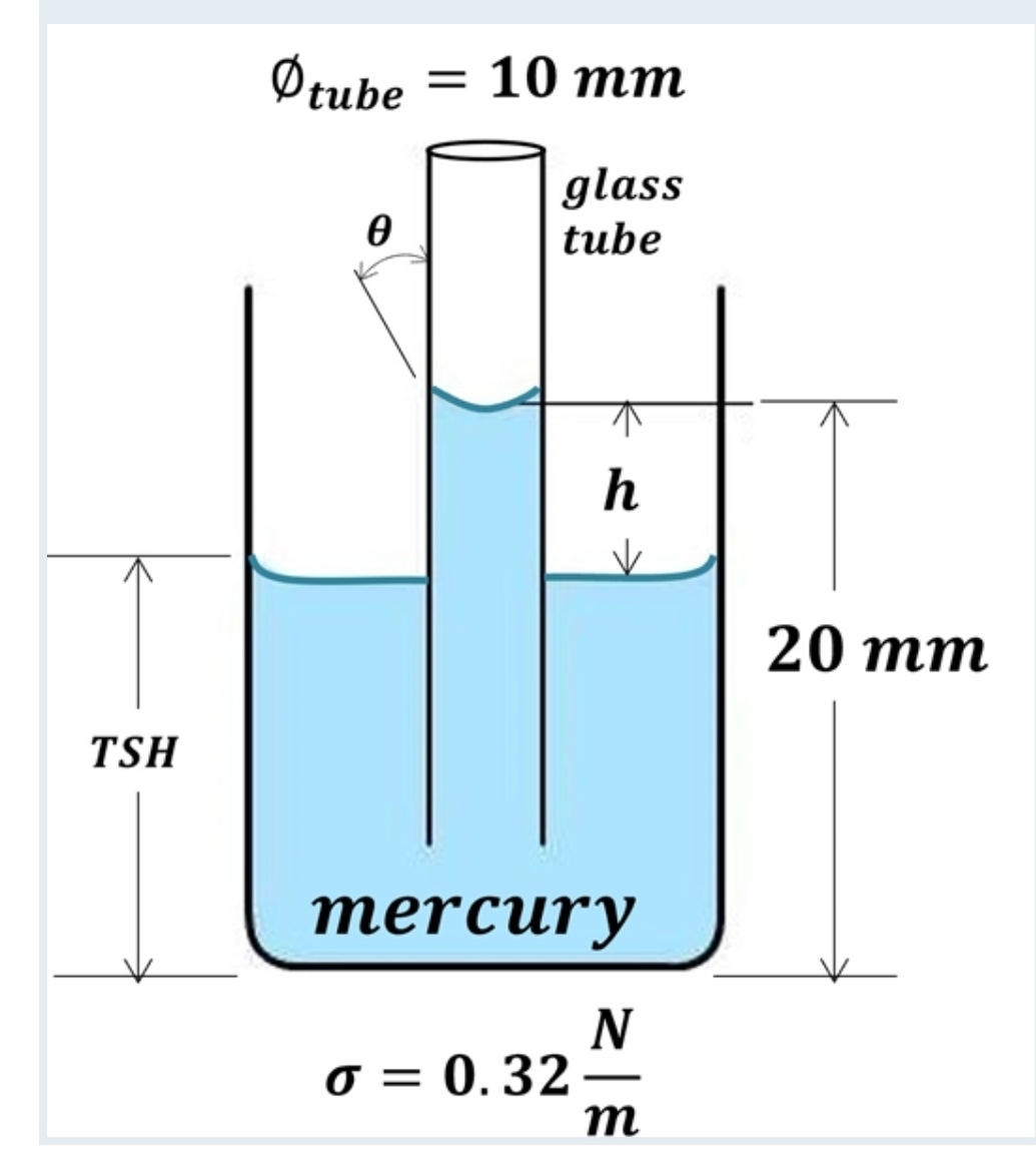 TSH
Øtube = 10 mm
glass
tube
0
↑
h
✓
mercury
σ = 0.32
N
—
m
20 mm