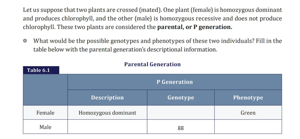 Let us suppose that two plants are crossed (mated). One plant (female) is homozygous dominant
and produces chlorophyll, and the other (male) is homozygous recessive and does not produce
chlorophyll. These two plants are considered the parental, or P generation.
What would be the possible genotypes and phenotypes of these two individuals? Fill in the
table below with the parental generation's descriptional information.
Table 6.1
Female
Male
Description
Parental Generation
Homozygous dominant
P Generation
Genotype
gg
Phenotype
Green
