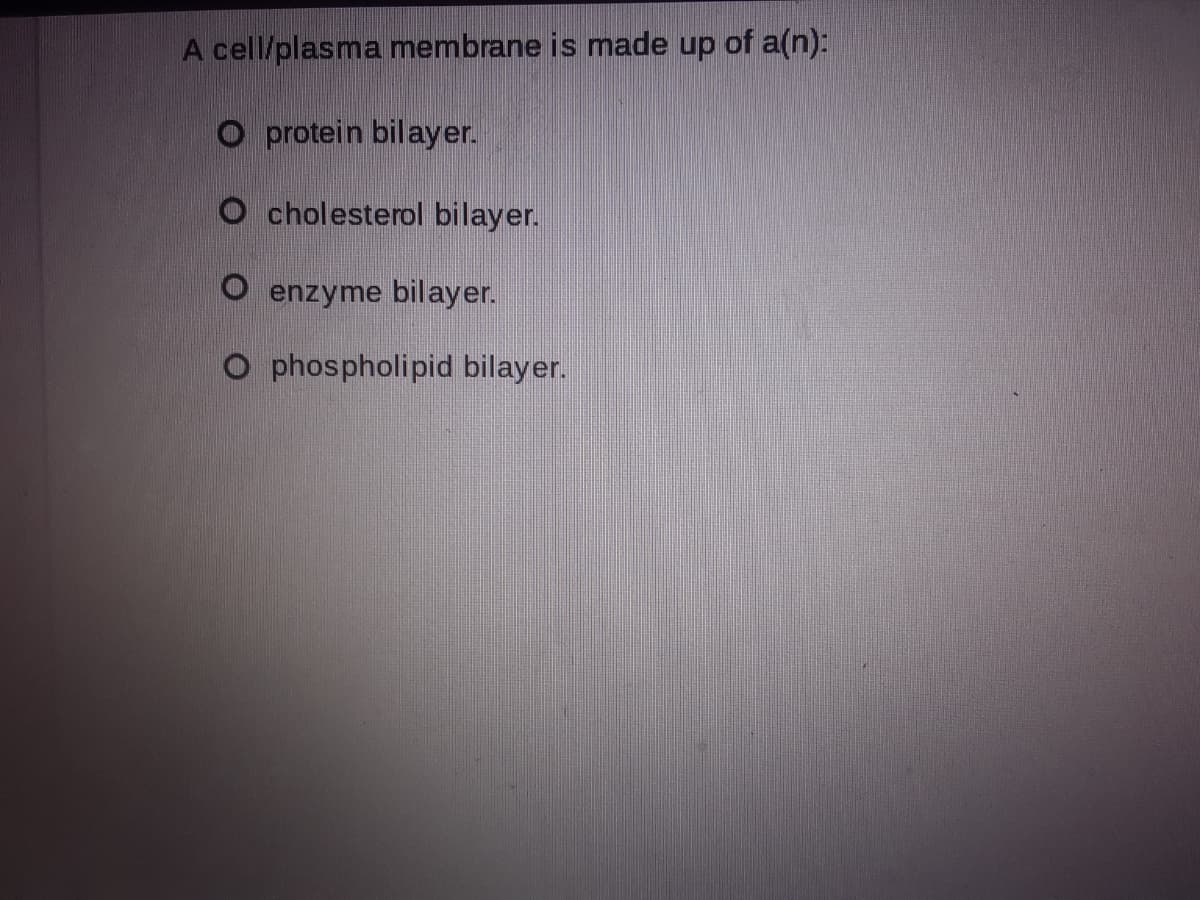 A cell/plasma membrane is made up of a(n):
O protein bilayer.
O cholesterol bilayer.
O enzyme bilayer.
O phospholipid bilayer.
