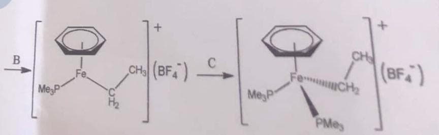 B
Me P
+
CH₂(BF) C
MesP
CH
FemCH₂
PMes
(BF)