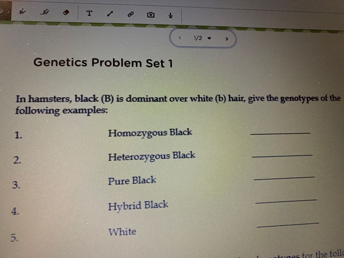 1/2
Genetics Problem Set 1
In hamsters, black (B) is dominant over white (b) hair, give the genotypes of the
following examples:
1.
Homozygous Black
Heterozygous Black
3.
Pure Black
4.
Hybrid Black
White
5.
tunes for the follo
2.

