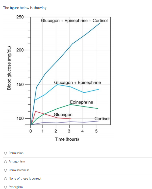 The figure below is showing;
250
Glucagon + Epinephrine + Cortisol
200
150
Glucagon + Epinephrine
Epinephrine
Glucagon
100
Cortisol
0 1
2
4
Time (hours)
O Permission
Antagonism
Permissiveness
O None of these is correct
Synergism
Blood glucose (mg/dL)

