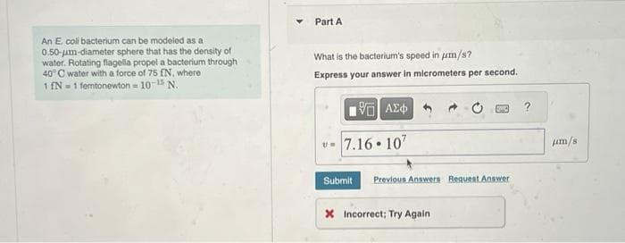 An E. coli bacterium can be modeled as a
0.50-um-diameter sphere that has the density of
water. Rotating flagella propel a bacterium through
40° C water with a force of 75 EN, where
1 fN=1 femtonewton = 10-15 N.
Part A
What is the bacterium's speed in μm/s?
Express your answer in micrometers per second.
ΨΕ
ΑΣΦ
7.16 107
DMC
Submit Previous Answers Request Answer
X Incorrect; Try Again
?
um/s