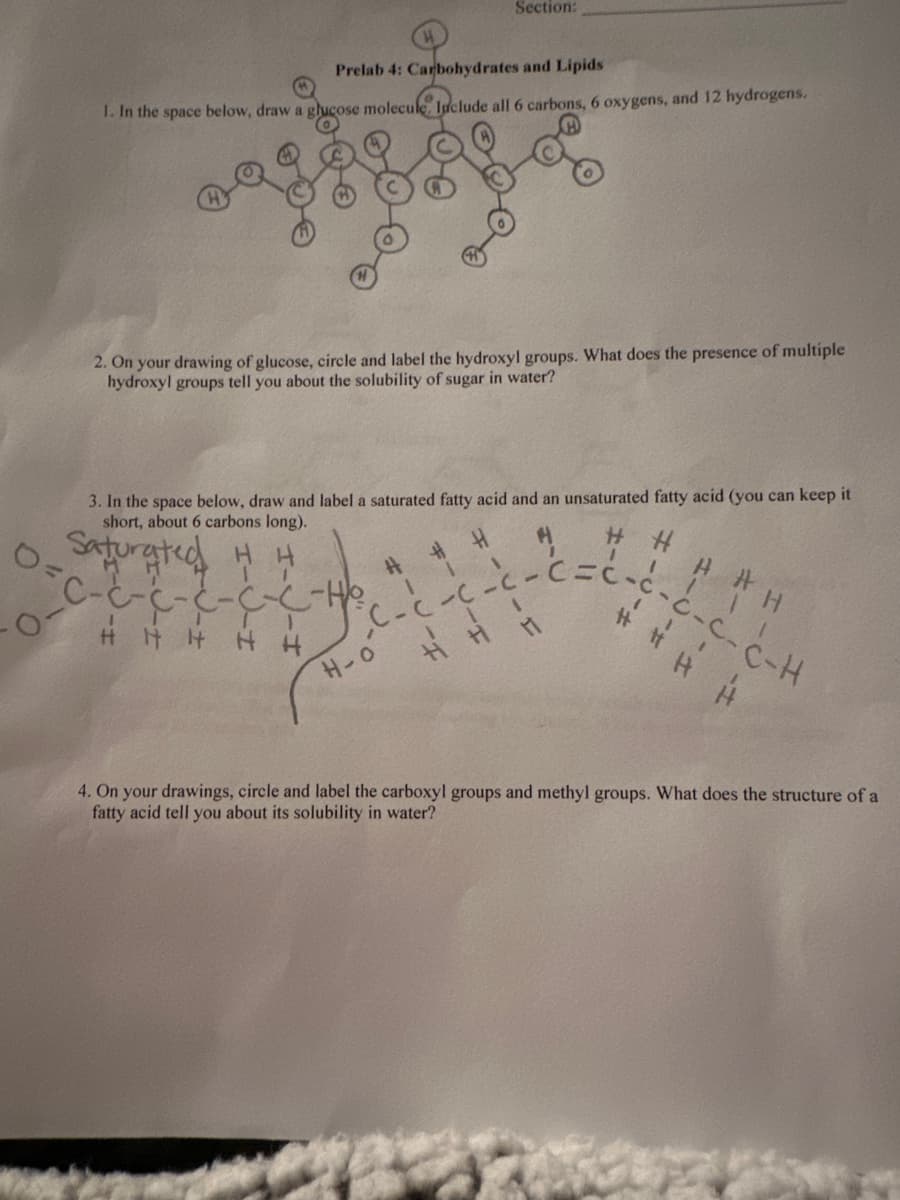 0=
Prelab 4: Carbohydrates and Lipids
1. In the space below, draw a glucose molecule Include all 6 carbons, 6 oxygens, and 12 hydrogens.
z
3. In the space below, draw and label a saturated fatty acid and an unsaturated fatty acid (you can keep it
short, about 6 carbons long).
H
H
##
Saturated H H
-07
2. On your drawing of glucose, circle and label the hydroxyl groups. What does the presence of multiple
hydroxyl groups tell you about the solubility of sugar in water?
C-C-C-
Section:
-C-C-H₂₂
1
H H H H H
C-C-C-C
1 !
H-0
#1
H
-C-C-C-H
A
### H
4. On your drawings, circle and label the carboxyl groups and methyl groups. What does the structure of a
fatty acid tell you about its solubility in water?