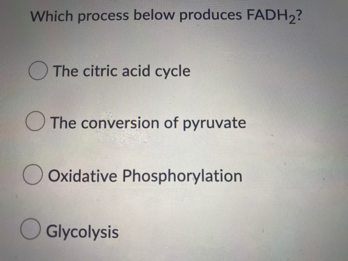 Which process below produces FADH2?
The citric acid cycle
The conversion of pyruvate
Oxidative Phosphorylation
O Glycolysis
