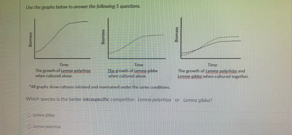 Use the graphs below to answer the following 5 questions.
Biomass
Time
The growth of Lemna polyrhiza
when cultured alone.
Time
The growth of Lemna gibba
when cultured alone.
*All graphs show cultures initiated and maintained under the same conditions.
Which species is the better intraspecific competitor: Lemna polyrhiza or Lemna gibba?
O Lemna gibba
Biomass
Lemna polyrhiza
Biomass
Time
The growth of Lemna polyrhiza and
Lemna gibba when cultured together.