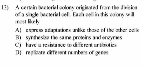 13) A certain bacterial colony originated from the division
of a single bacterial cell. Each cell in this colony will
most likely
A) express adaptations unlike those of the other cells
B) synthesize the same proteins and enzymes
C) have a resistance to different antibiotics
D) replicate different numbers of genes
