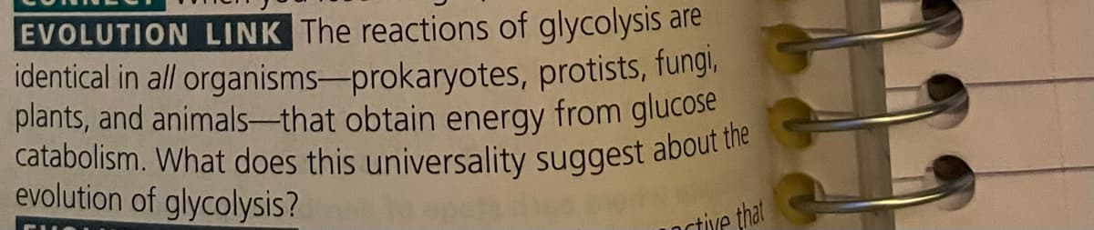 EVOLUTION LINK The reactions of glycolysis are
identical in all organisms-prokaryotes, protists, fungi,
plants, and animals-that obtain energy from glucose
catabolism. What does this universality suggest about the
evolution of glycolysis?
active that