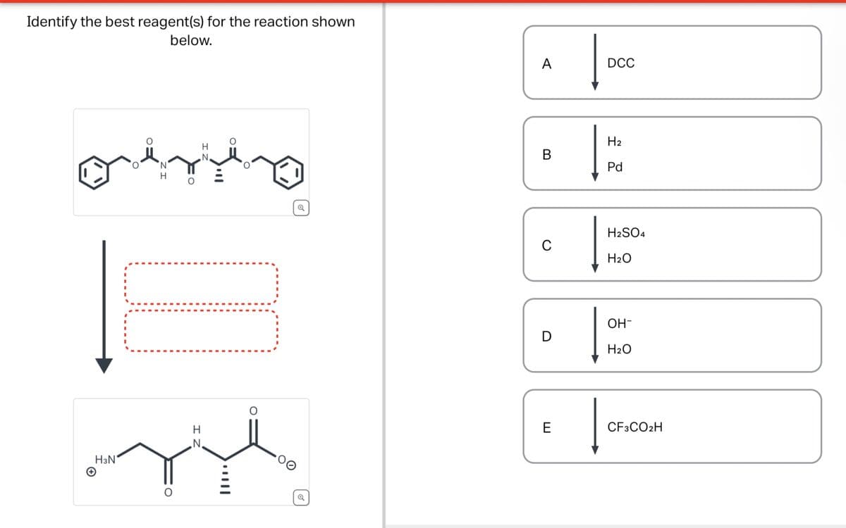 Identify the best reagent(s) for the reaction shown
below.
ΖΙ
H
+
H3N
N
ΖΙ
H
H
I N
Q
Q
A
DCC
H2
B
Pd
H2SO4
C
H2O
он-
D
H2O
E
CF3CO2H