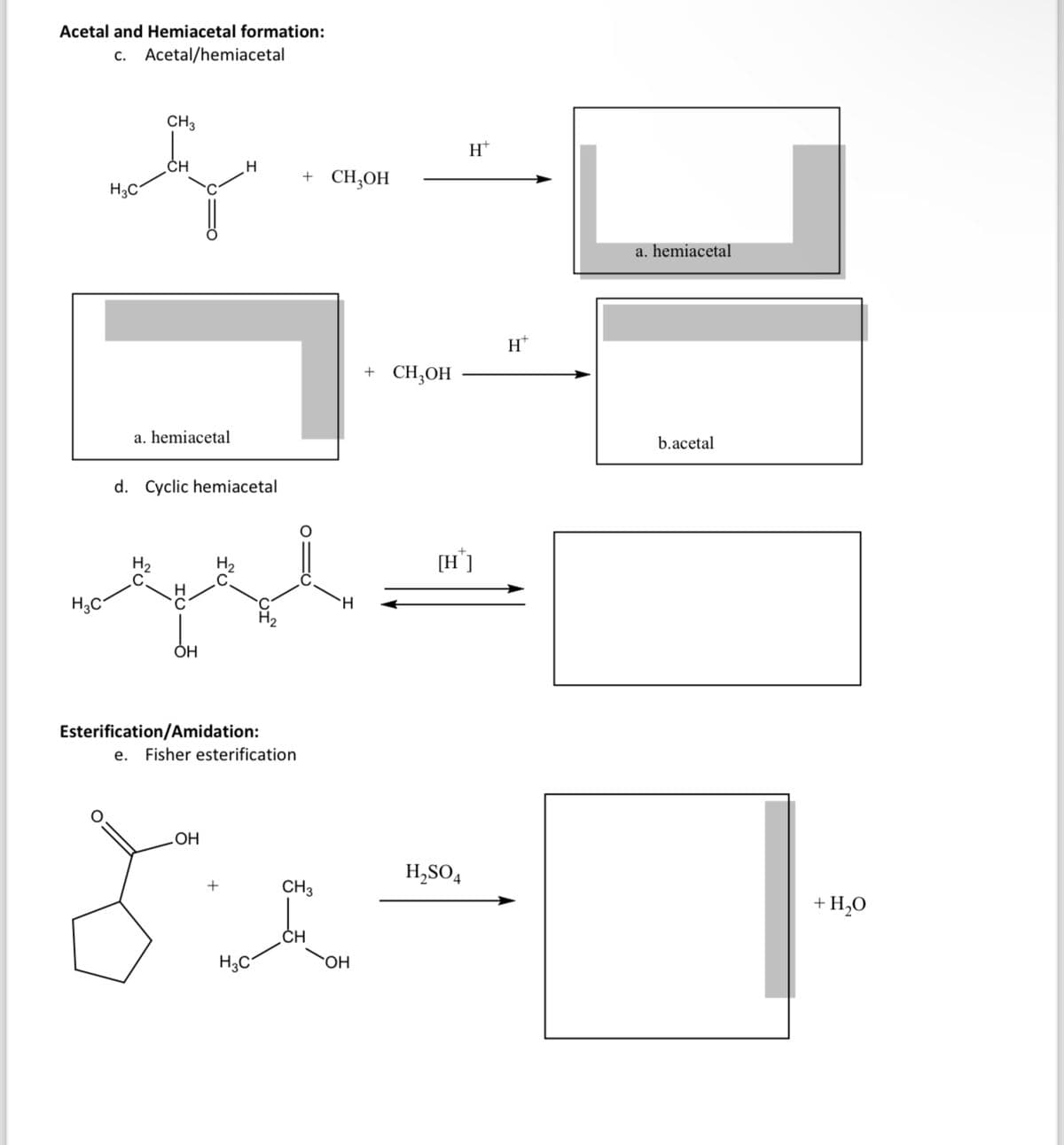 Acetal and Hemiacetal formation:
c. Acetal/hemiacetal
CH 3
ty
CH
H3C
[
a. hemiacetal
H3C
d. Cyclic hemiacetal
Gyertych
OH
Esterification/Amidation:
e. Fisher esterification
OH
+ CH₂OH
+
H3C
CH3
H
OH
+ CH3OH
H
[H*]
H₂SO4
H™
a. hemiacetal
b.acetal
+ H₂O