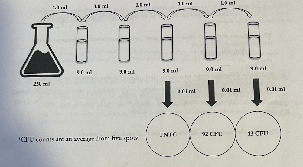 1.0 ml
1.0 ml
1.0 ml
1.0 ml
1.0 ml
9.0 ml
9.0 ml
9.0 ml
9.0 ml
9.0 ml
250 ml
0.01 ml
0.01 ml
0.01 ml
ΤNTC
92 CFU
13 CFU
*CFU counts are an average from five spots
