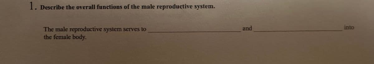 1. Describe the overall functions of the male reproductive system.
The male reproductive system serves to
the female body.
and
into