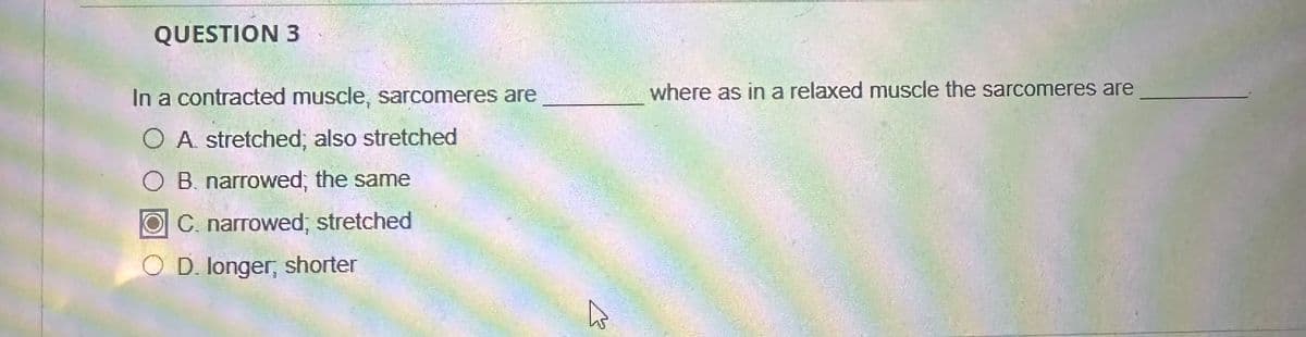 QUESTION 3
In a contracted muscle, sarcomeres are
○ A stretched; also stretched
O B. narrowed; the same
OC. narrowed; stretched
OD. longer, shorter
where as in a relaxed muscle the sarcomeres are